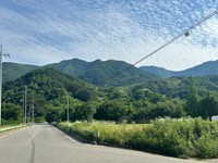 韓国の山々の風景（ニシダさん提供）