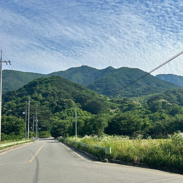 韓国の山々の風景（ニシダさん提供）