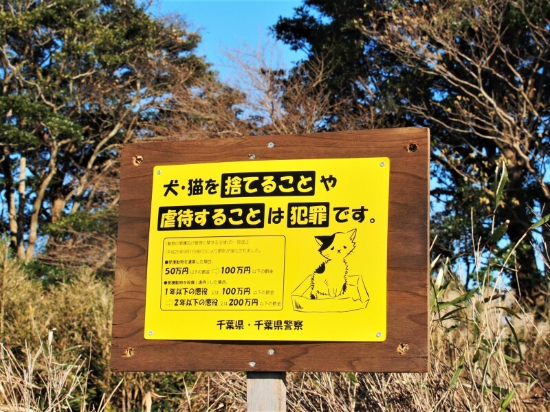 姉妹が捨てられていた現場に、しんやさんが立てた立て札。警察官もパトロールしてくれるようになった。