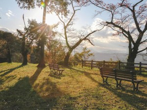 私の人生にもネタバレがあれば、安心して未来を楽しめるのに