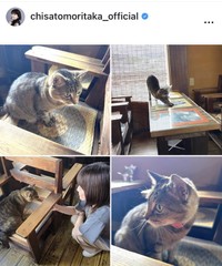 森高千里のインスタグラム＠chisatomoritaka_officialより