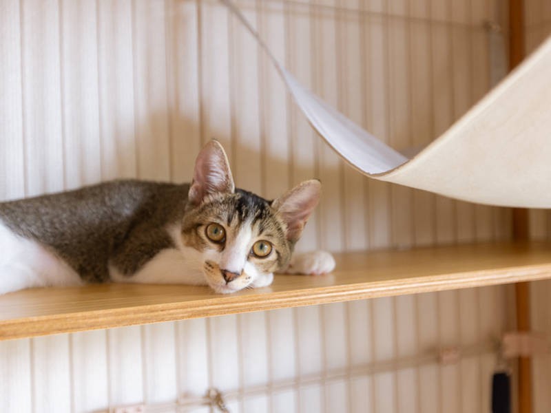 今日はありがとね