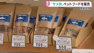 「サメ肉使ったペットフード」販売　宮城・気仙沼チャレンジショップ
