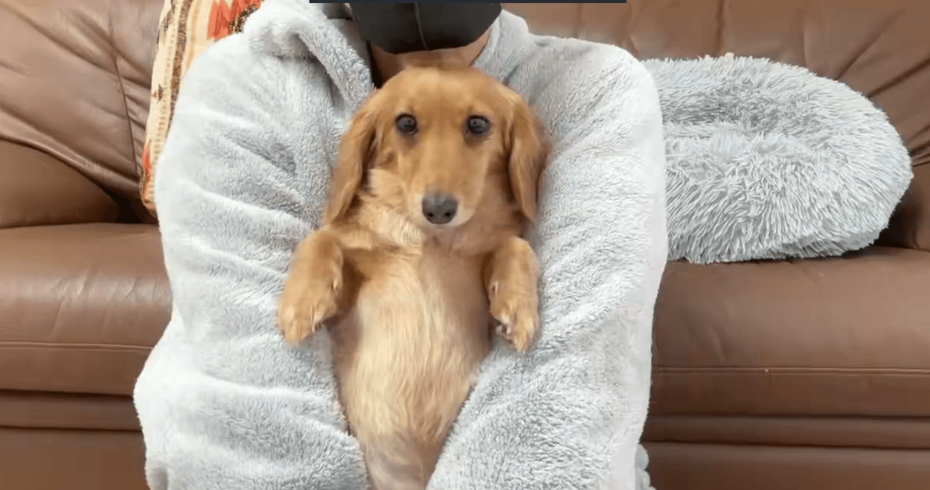 くりくりのお目目