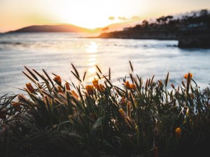 アルバイト先で感じていた居心地の良さ。先輩の言葉で理由がわかった