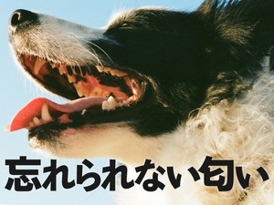 忘れられない匂い part2