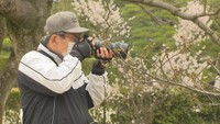 16日は栗林公園の開園記念日