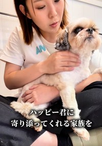 ハッピーくんに寄り添ってくれる家族を待っています（「anifareマークイズ福岡ももちシェルター」提供、Instagramよりキャプチャ撮影）