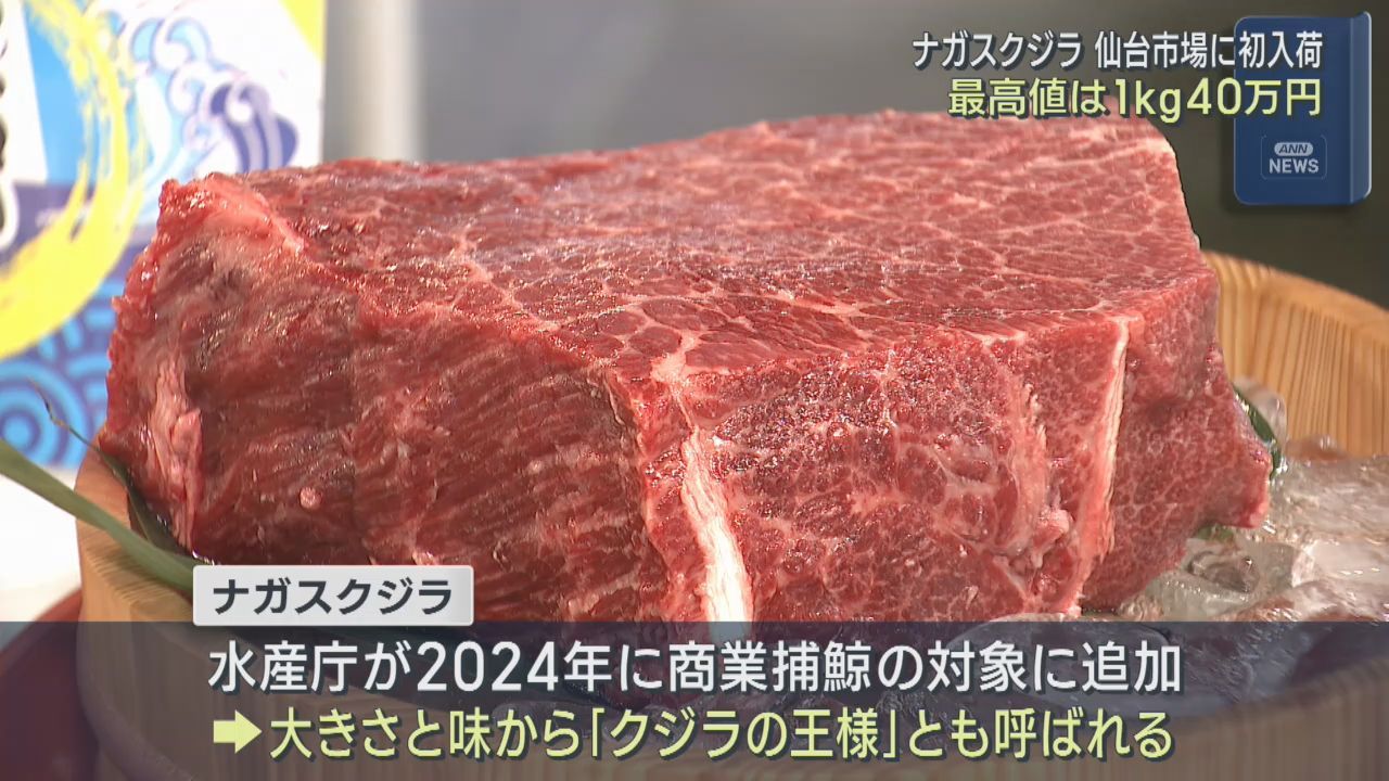 ナガスクジラが仙台市中央卸売市場に初入荷