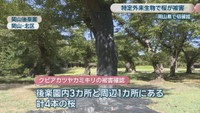 岡山後楽園　岡山市北区