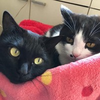 いつも一緒だね