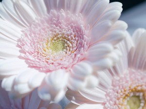 「かわいい」に距離を感じるわたし。でも何歳になっても愛嬌のある女性を目指したい