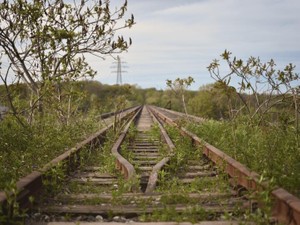 上手くいかない就活、不安で苦しかった。でも予測不能な人生は面白い