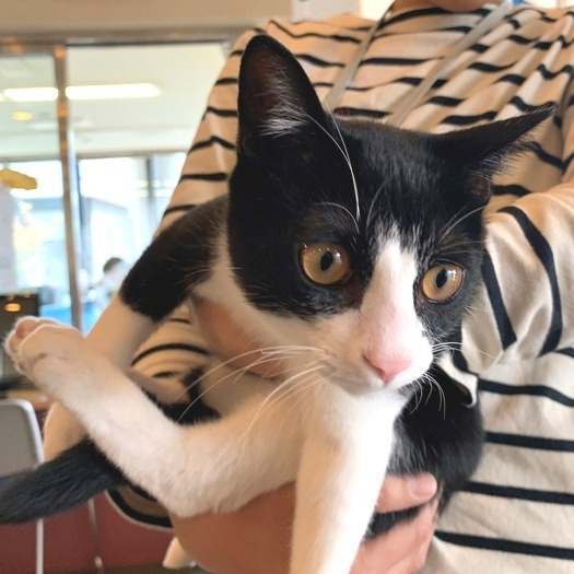 いたずら盛りの風太くん