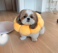 写真を撮りまくるママにドン引き