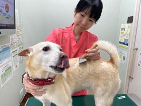 愛犬ががんに　不可解な行動のすえ安楽死を病院に依頼した夫、その時妻は…