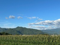 アルプスの山々を背景に広がる、塩尻市のとうもろこし畑／つむぐ農園｜あやさん（@tsumugunouen）提供