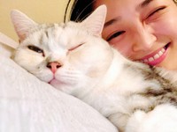 とろろはツンデレさんです