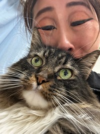 キンタロー。（@Kintalo_）さんのXより