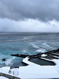 ニシンの放精で海がターコイズブルーに変化