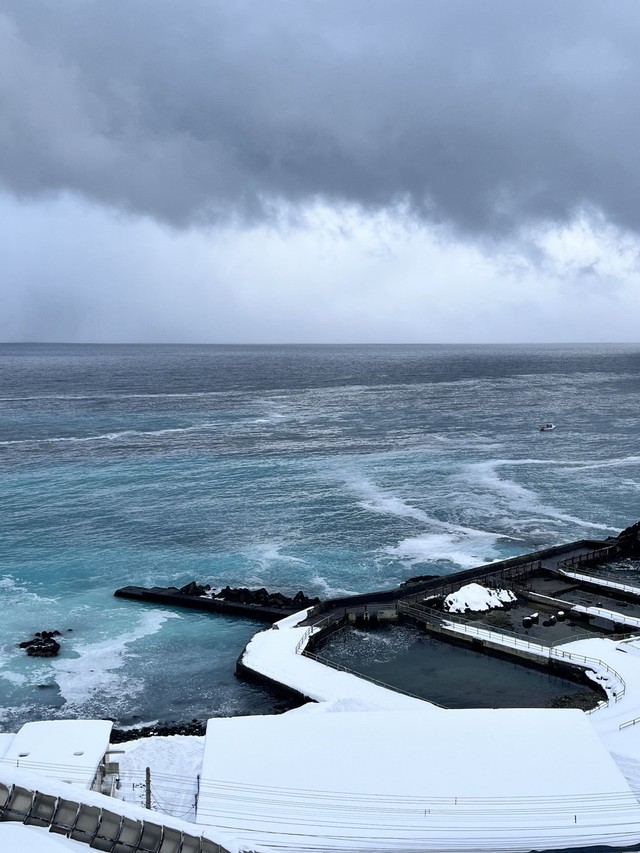 ニシンの放精で海がターコイズブルーに変化