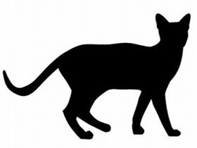 連続ネコ殺し？　地蔵のほこらの裏で発見　警察が捜査