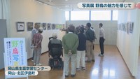 野鳥写真展　日本野鳥の会岡山県支部　岡山県生涯学習センター