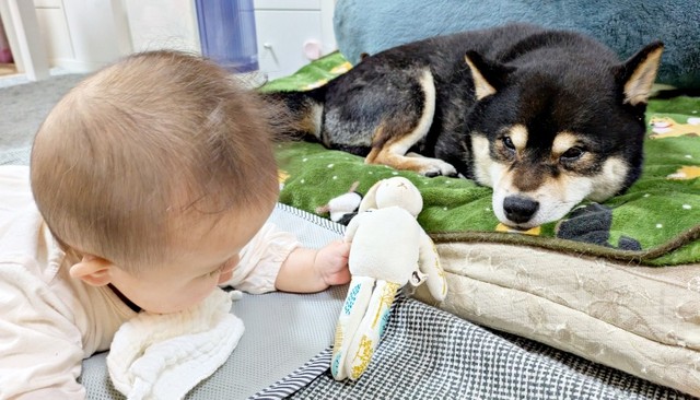 子守り中に寝落ちしてしまったおはぎくん（画像提供：おはぎさん）