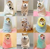 雨散歩の後は可愛いタオルで巻かれるももちゃんのタオル姿コレクション（画像提供：柴犬ももさん）