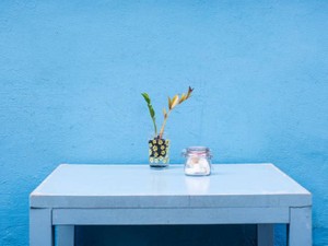 幼なじみが急に「さっさと脱げよ」。日本の性教育が恐ろしい