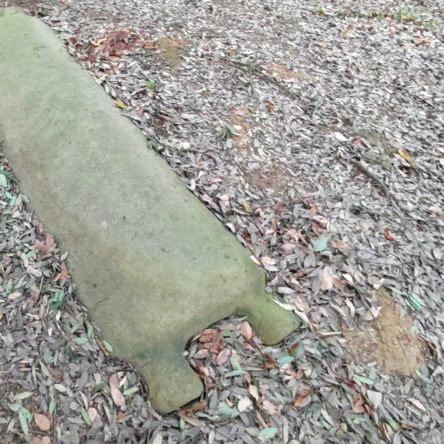 （あると紀はさん提供）