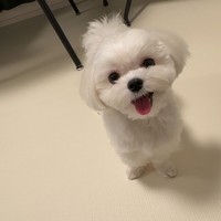 「おやつ」と聞くとすぐ笑顔になるというモコくん（画像提供：モコさん）