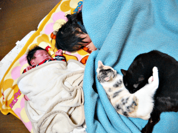 2005年12月30日撮影。ウララちゃんたちを迎えたあと誕生した生後1カ月の次男くん、その横で眠る1歳の長男くん（画像提供：リキペペさん）