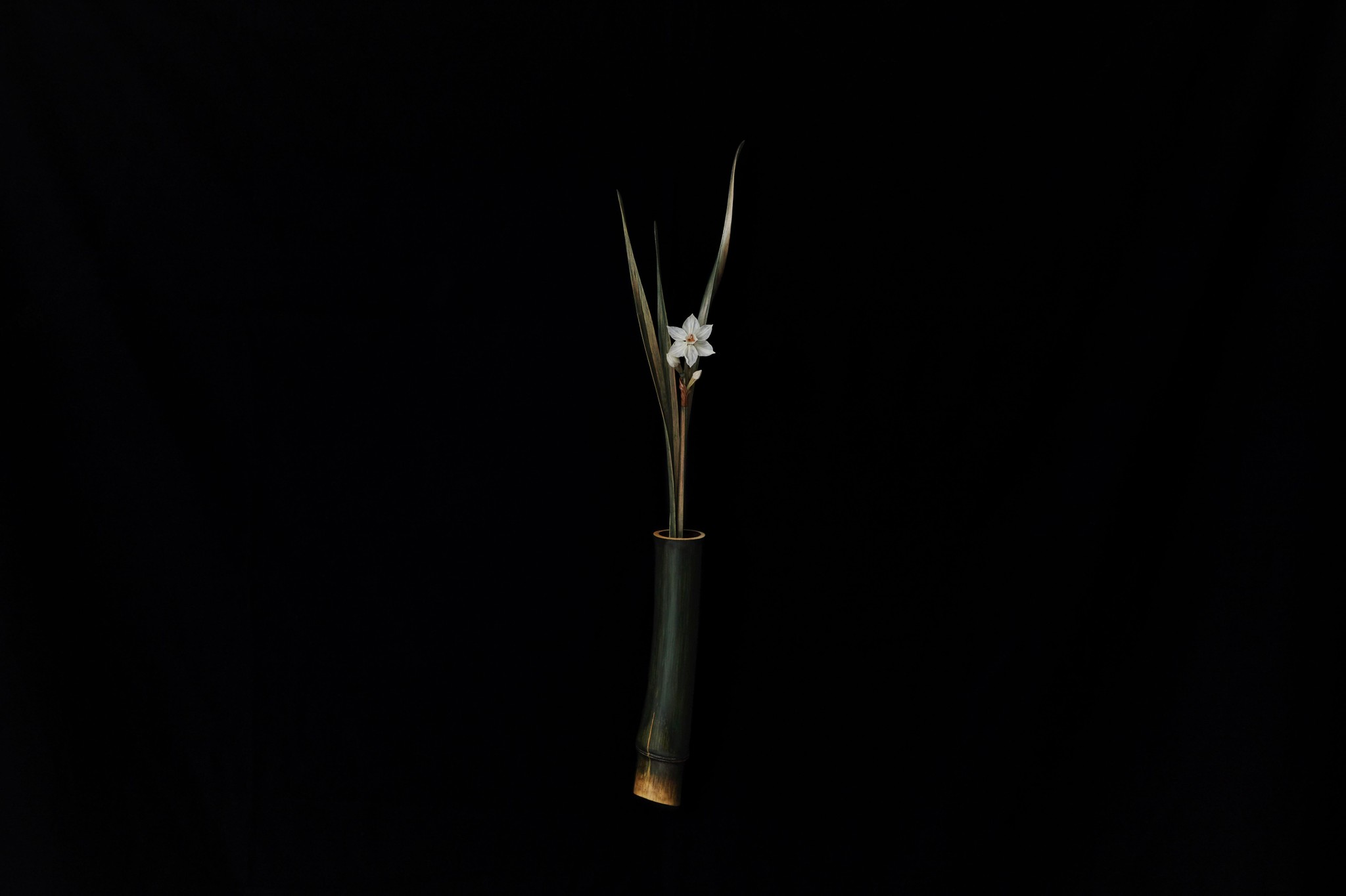 えっ、水をやると花が咲くって？魔法のような木彫作品…仕組みは “秘密