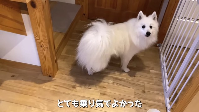 ママ、早く行こっ！！（提供：@poteyamadaさん）
