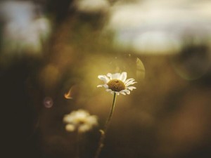 人生が負の方向に向かわなかったのは、憧れの父が側にいてくれたから