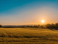 いつも「Open mind」でいたい。気付かせてくれたのは、田舎留学だった