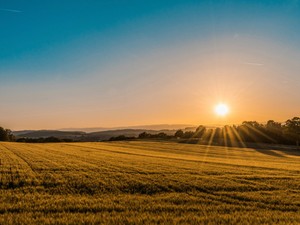いつも「Open mind」でいたい。気付かせてくれたのは、田舎留学だった