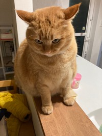 深夜のすずくん