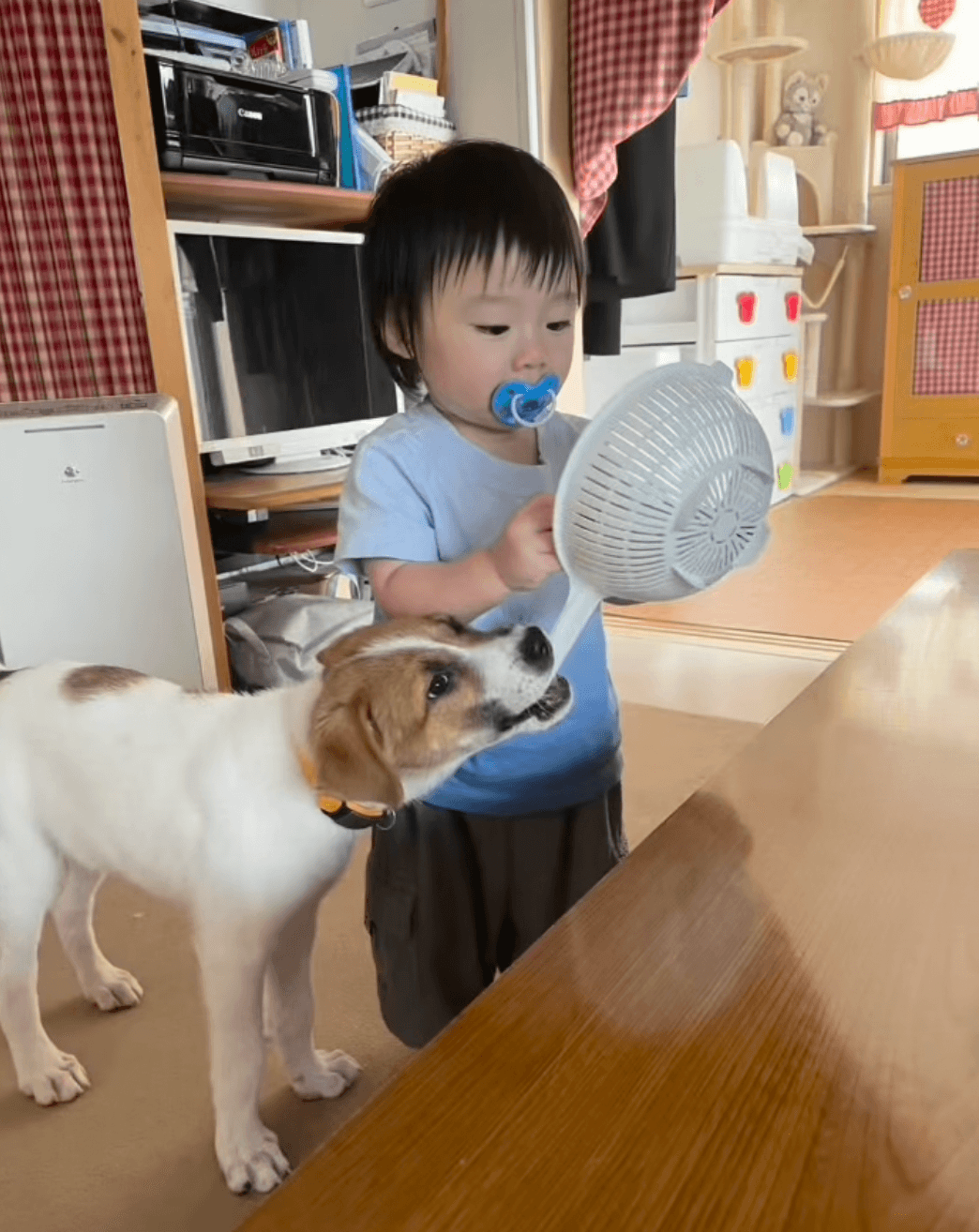 男の子が気になるものは、大夢くんも興味津々！（提供：@dada_chiakiさん）
