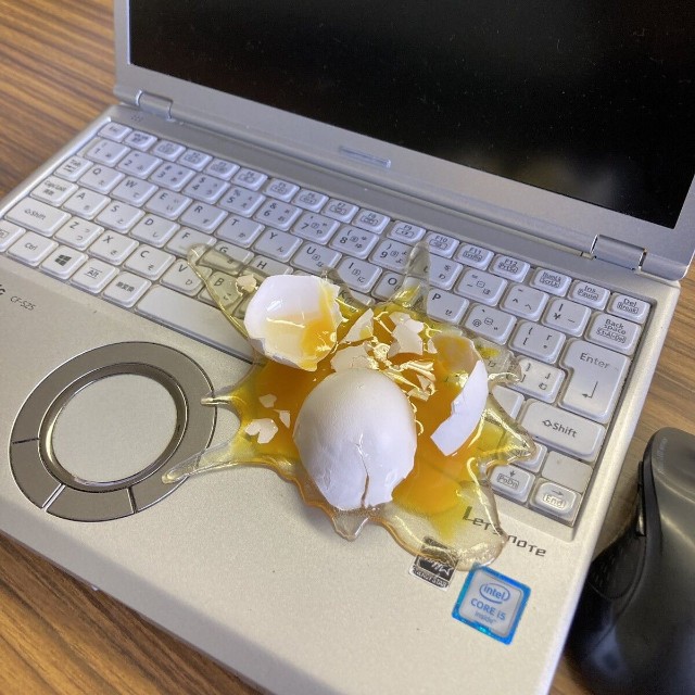 生々しい生たまご（株式会社いわさき提供）