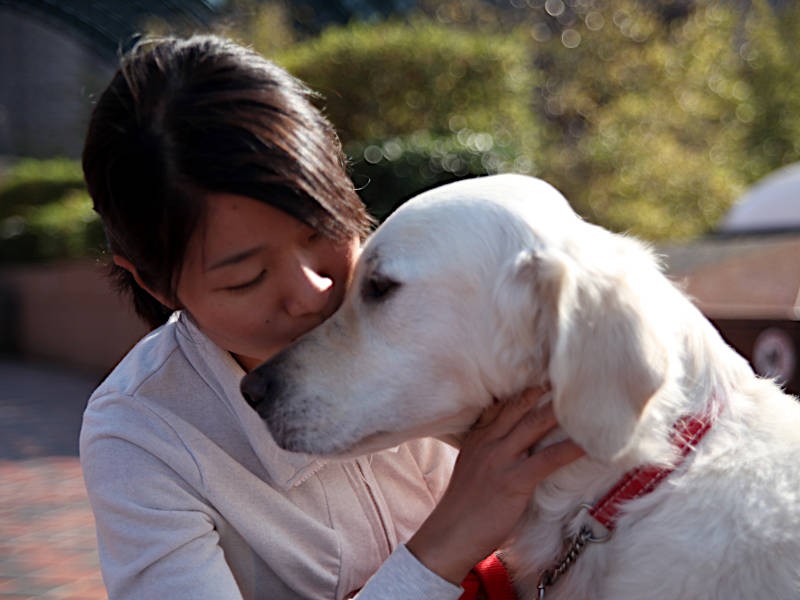 寄り添うベイリーと森田さん
