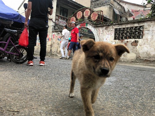 ふらりと現れた名脇役