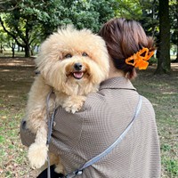 ママに抱っこされてにっこり笑顔になるポテチくん（画像提供：ポテチやでさん）