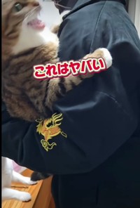 許しません（投稿からキャプチャ）