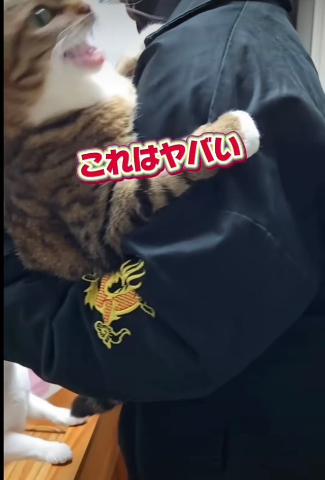 許しません（投稿からキャプチャ）
