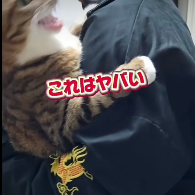 許しません（投稿からキャプチャ）