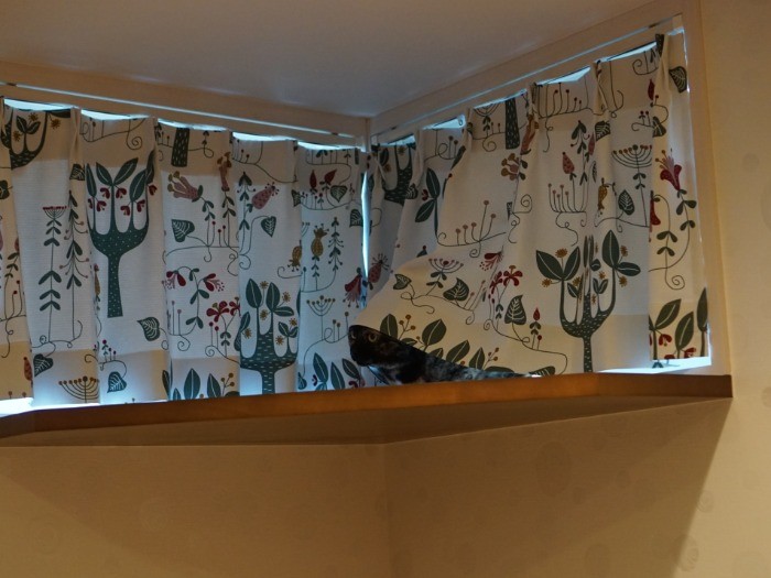 「カーテンのむこうでニャルソックしてました」