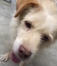 ルードは笑顔で自ら近寄ってきてくれるようになりました