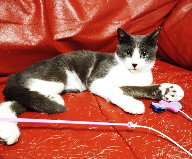 抜糸を終え、約半年間のリハビリに励みました